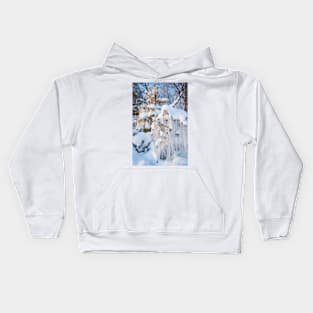 Beautiful icicles ice formation on small tree Kids Hoodie